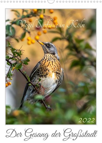 Vogel Sinfonie in Köln (Wandkalender 2022 DIN A3 hoch)