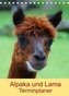 Alpaka und Lama Terminplaner (Tischkalender 2022 DIN A5 hoch)