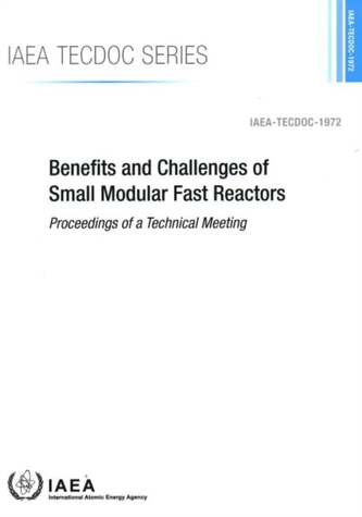 Benefits and Challenges of Small Modular Fast Reactors