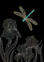 Přání M153 BUG ART