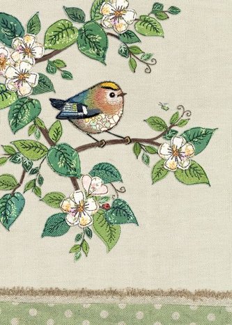 Přání J009 BUG ART