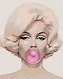 Malování podle čísel - MARILYN S BUBLINOU - 40x50 cm, vypnuté plátno na rám