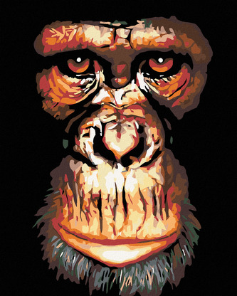 Malování podle čísel - ŠIMPANZ - 80x100 cm, vypnuté plátno na rám