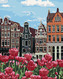 Malování podle čísel - TULIPÁNY V AMSTERDAMU II - 40x50 cm, vypnuté plátno na rám