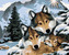 Malování podle čísel - VLCI A ZIMNÍ KRAJINA (HOWARD ROBINSON) - 40x50 cm, bez rámu a bez vypnutí plátna