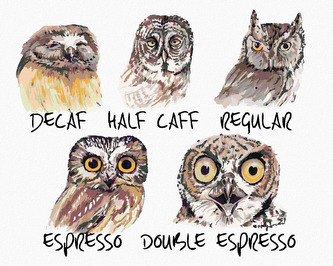 Malování podle čísel - SOVY (HOLLY SIMENTAL) - 80x100 cm, vypnuté plátno na rám