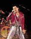 Malování podle čísel - FREDDIE NA PÓDIU - 80x100 cm, bez rámu a bez vypnutí plátna