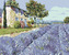 Malování podle čísel - LEVANDULOVÉ POLE I - 80x100 cm, bez rámu a bez vypnutí plátna