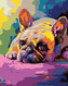 Malování podle čísel - LEŽÍCÍ BULDOČEK - 80x100 cm, vypnuté plátno na rám