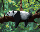 Malování podle čísel - PANDA LEŽÍCÍ NA STROMĚ - 80x100 cm, bez rámu a bez vypnutí plátna