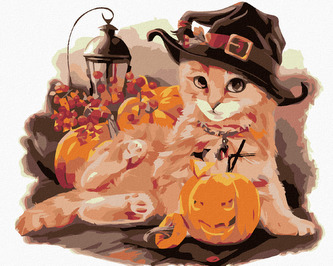 Malování podle čísel - KOTĚ S DÝNĚMI - 40x50 cm, vypnuté plátno na rám