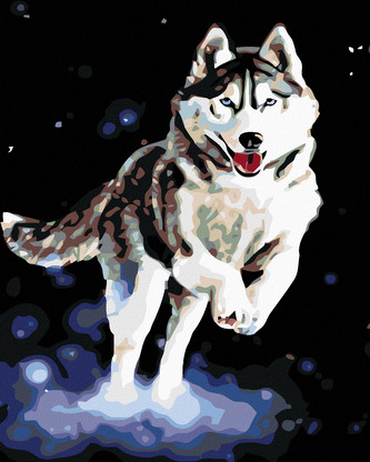 Malování podle čísel - HUSKY - 80x100 cm, bez rámu a bez vypnutí plátna