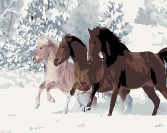 Malování podle čísel - KONĚ VE SNĚHU - 40x50 cm, vypnuté plátno na rám