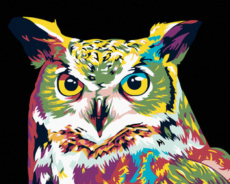 Malování podle čísel - BAREVNÁ SOVA - 80x100 cm, bez rámu a bez vypnutí plátna