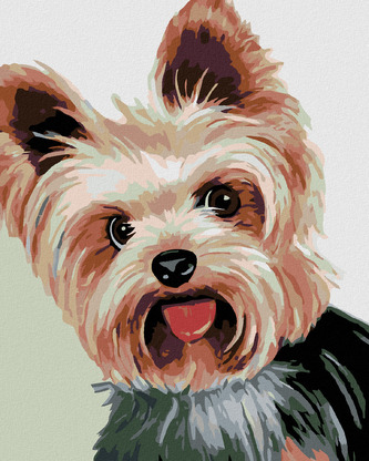 Malování podle čísel - JORKŠÍREK II - 40x50 cm, bez rámu a bez vypnutí plátna