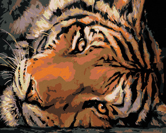 Malování podle čísel - JASNÝ TYGŘÍ POHLED - 80x100 cm, bez rámu a bez vypnutí plátna