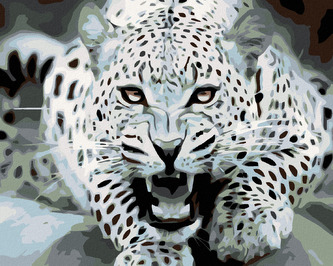 Malování podle čísel - ČERNOBÍLÝ LEOPARD - 40x50 cm, vypnuté plátno na rám
