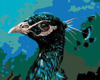 Malování podle čísel - PAVÍ PROFIL - 80x100 cm, vypnuté plátno na rám