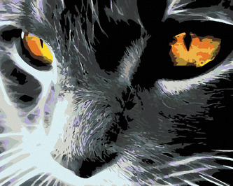 Malování podle čísel - ČERNÁ KOČKA A JASNÝ POHLED - 80x100 cm, bez rámu a bez vypnutí plátna