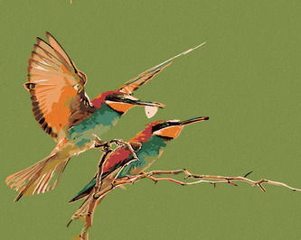 Malování podle čísel - DVA KOLIBŘÍCI - 80x100 cm, bez rámu a bez vypnutí plátna