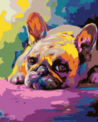 Malování podle čísel - LEŽÍCÍ BULDOČEK - 40x50 cm, vypnuté plátno na rám