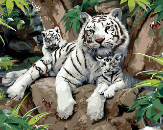 Malování podle čísel - BÍLÝ TYGR S MLÁĎATY NA KAMENI (HOWARD ROBINSON) - 80x100 cm, vypnuté plátno na rám