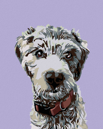 Malování podle čísel - CHLUPÁČ S ČERVENÝM OBOJKEM - 40x50 cm, vypnuté plátno na rám