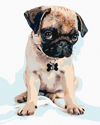 Malování podle čísel - ROZTOMILÝ MOPSÍK - 80x100 cm, vypnuté plátno na rám