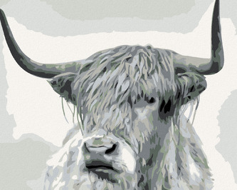 Malování podle čísel - ČERNOBÍLÝ BUVOL PŘÍMÝ POHLED - 80x100 cm, bez rámu a bez vypnutí plátna