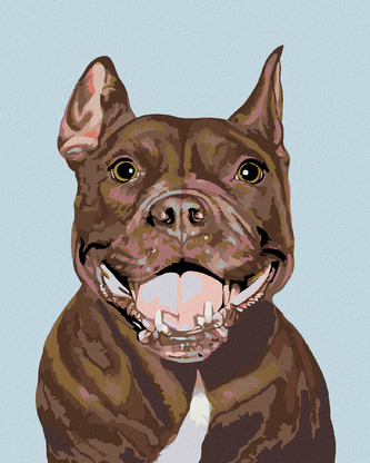 Malování podle čísel - PITBULL - 80x100 cm, vypnuté plátno na rám