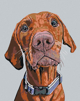 Malování podle čísel - RIDGEBACK S MODRÝM OBOJKEM - 80x100 cm, bez rámu a bez vypnutí plátna