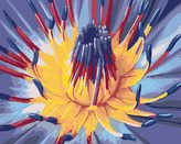 Malování podle čísel - OTEVÍRAJÍCÍ SE KVĚT - 80x100 cm, bez rámu a bez vypnutí plátna