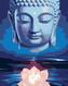 Malování podle čísel - MODRÝ BUDDHA S LOTOSEM - 40x50 cm, vypnuté plátno na rám
