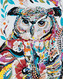 Malování podle čísel - KVĚTINOVÁ SOVA - 40x50 cm, bez rámu a bez vypnutí plátna