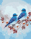 Malování podle čísel - DVA MODŘÍ PTÁČCI NA VĚTVI - 80x100 cm, bez rámu a bez vypnutí plátna