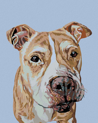 Malování podle čísel - HNĚDÝ STAFORD - 80x100 cm, vypnuté plátno na rám