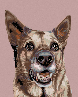 Malování podle čísel - FENKA VLČÁKA - 40x50 cm, vypnuté plátno na rám