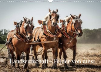 Landwirtschaft - Bilder von einst (Wandkalender 2022 DIN A3 quer)