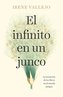 El Infinito En Un Junco / Infinity in a Reed: The Invention of Books in the Anci Ent World