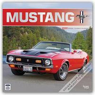Mustang 2022 Square
