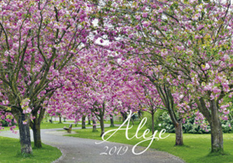 Aleje 2019 - nástěnný kalendář
