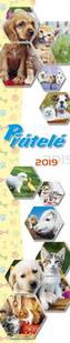 Přátelé 2019 - nástěnný kalendář