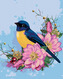 Malování podle čísel - MODRÝ PTÁK A RŮŽOVÉ KVĚTY - 40x50 cm, vypnuté plátno na rám