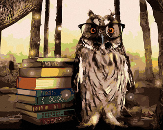 Malování podle čísel - SOVA V KNIHOVNĚ - 40x50 cm, bez rámu a bez vypnutí plátna