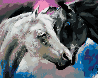 Malování podle čísel - ČERNÝ A BÍLÝ KŮŇ - 40x50 cm, vypnuté plátno na rám