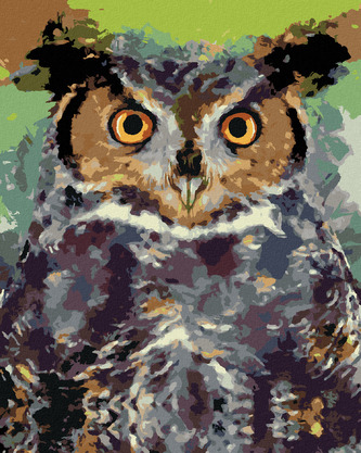 Malování podle čísel - BAREVNÁ SOVA II - 40x50 cm, bez rámu a bez vypnutí plátna