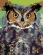 Malování podle čísel - BAREVNÁ SOVA II - 40x50 cm, bez rámu a bez vypnutí plátna