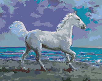 Malování podle čísel - BÍLÝ KŮŇ NA BŘEHU - 80x100 cm, vypnuté plátno na rám