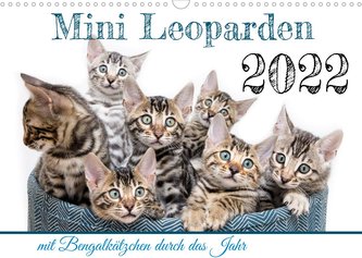 Mini Leoparden - mit Bengalkätzchen durch das Jahr (Wandkalender 2022 DIN A3 quer)