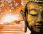 Malování podle čísel - BUDDHA A STROM - 40x50 cm, vypnuté plátno na rám